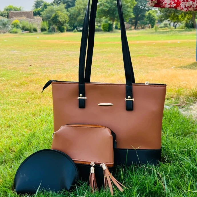 brown three piece bag, brown tote bag, 3 piece bag, Reena 3 piece bags
