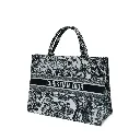 x126 DiorER ,  Reenaali, Reena, Reena Ali, iamreenaali, Reena bags, Reenaali bags, Reenahandbags,Reenaalibag,Reenatotebags,Reenaalitorebags,Reenanewbags,handbags,totebags,onlinehandbags,reenaali.com (1).webp