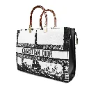 C64 DiorX ,  Reenaali, Reena, Reena Ali, iamreenaali, Reena bags, Reenaali bags, Reenahandbags,Reenaalibag,Reenatotebags,Reenaalitorebags,Reenanewbags,handbags,totebags,onlinehandbags, (1).webp